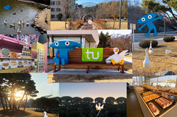 Hier sieht man eine Collage aus verschiedenen Bildern, die alle den Campus der KAIST University zeigen. 